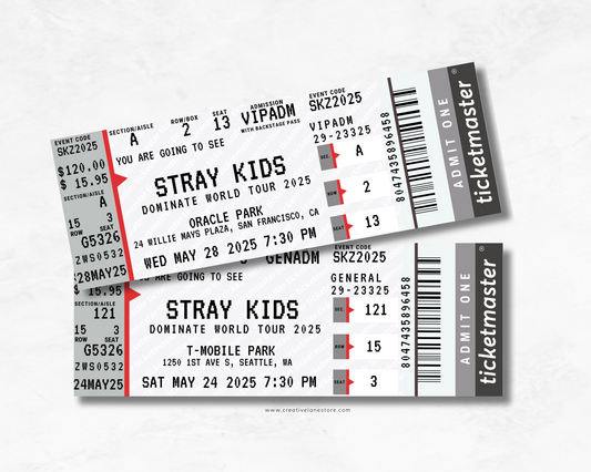 Stray Kids 2025 Custom Ticket - Ticketmaster Inspired